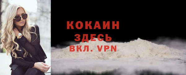 apvp Билибино