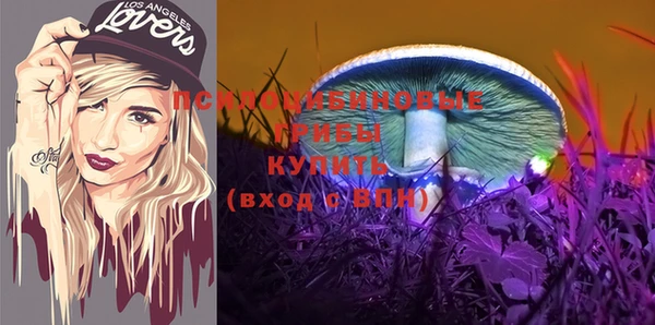 apvp Билибино