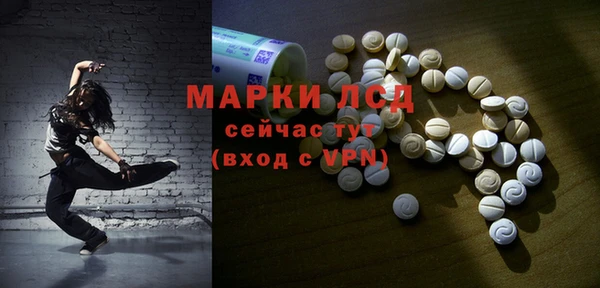 apvp Билибино