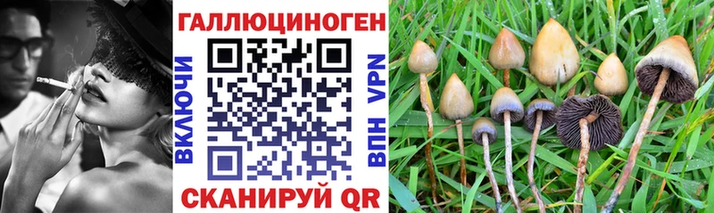 как найти закладки  Красноармейск  hydra ONION  Псилоцибиновые грибы Cubensis 