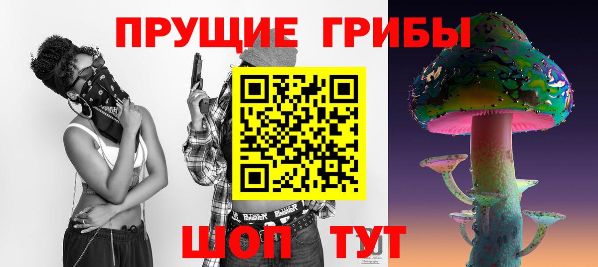 Галлюциногенные грибы Psilocybe Красноармейск