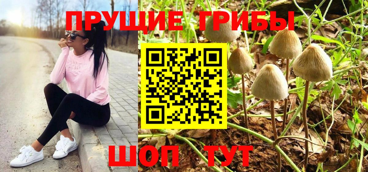 Псилоцибиновые грибы мицелий Красноармейск